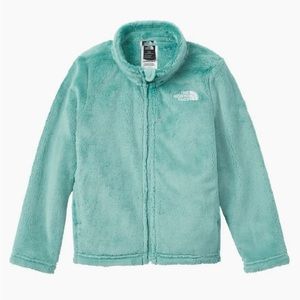 The north face women’s mint fleece osito jacket